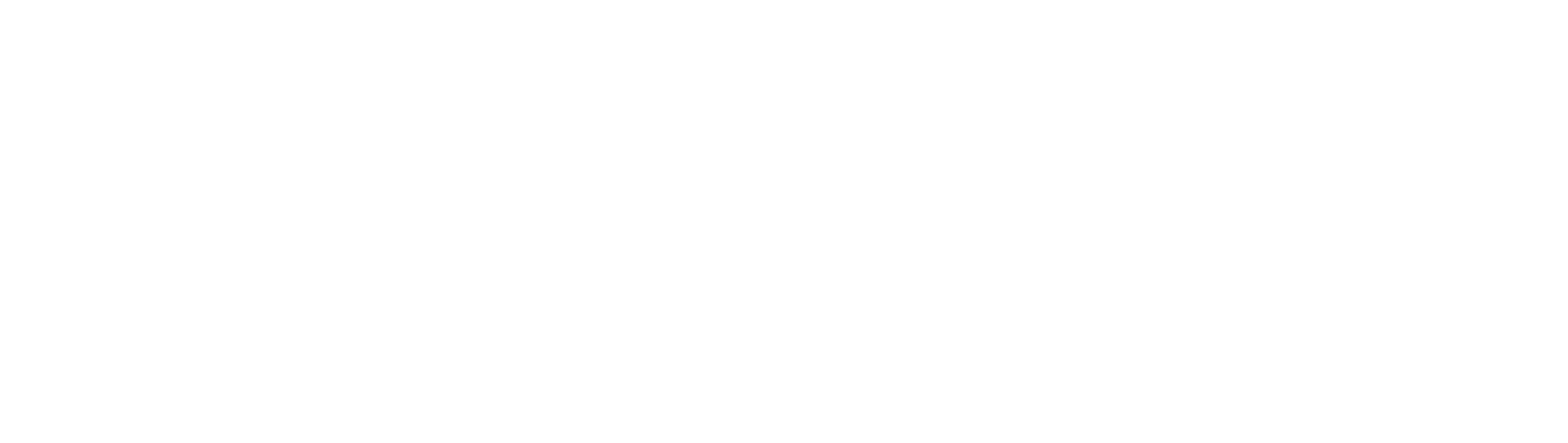 Bloomvise Consulting