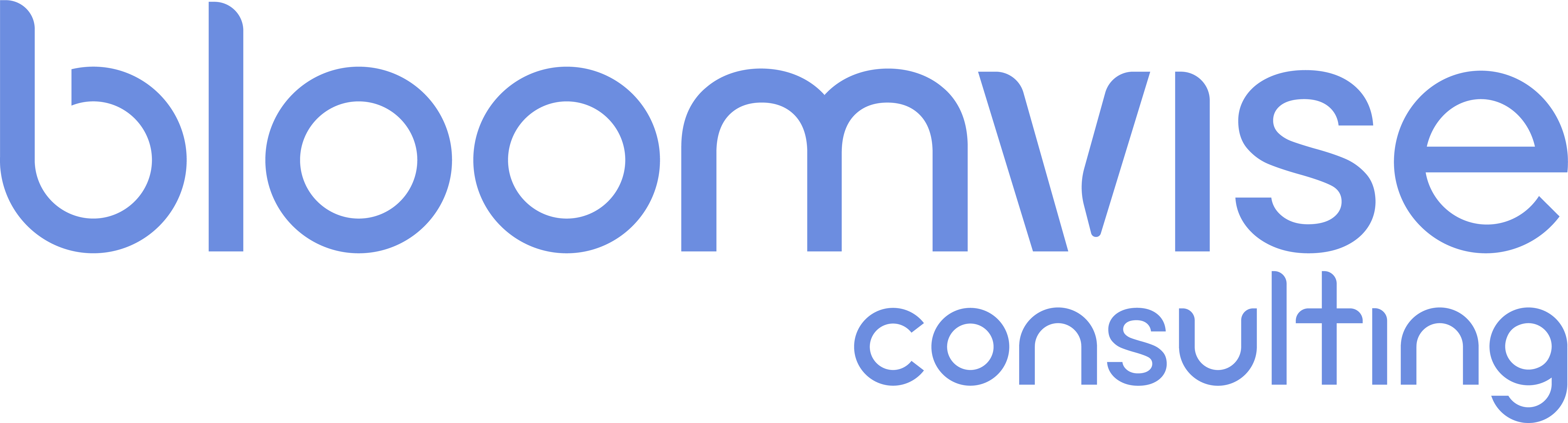 Bloomvise Consulting